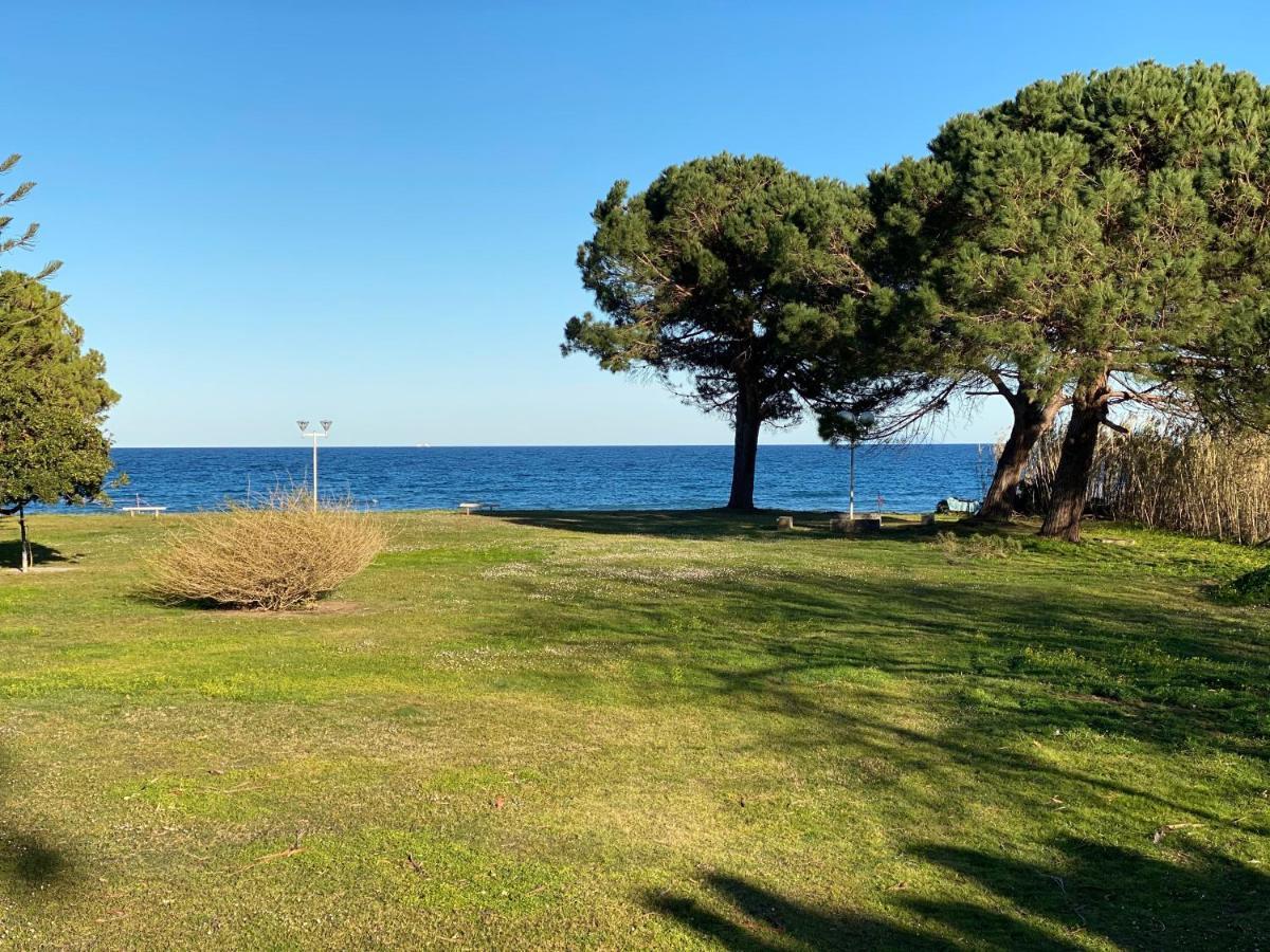 Residence Santa Lucia, Studio Avec Piscine , Vue Mer Et Pied Dans L'Eau , Moriani-Plage Zewnętrze zdjęcie