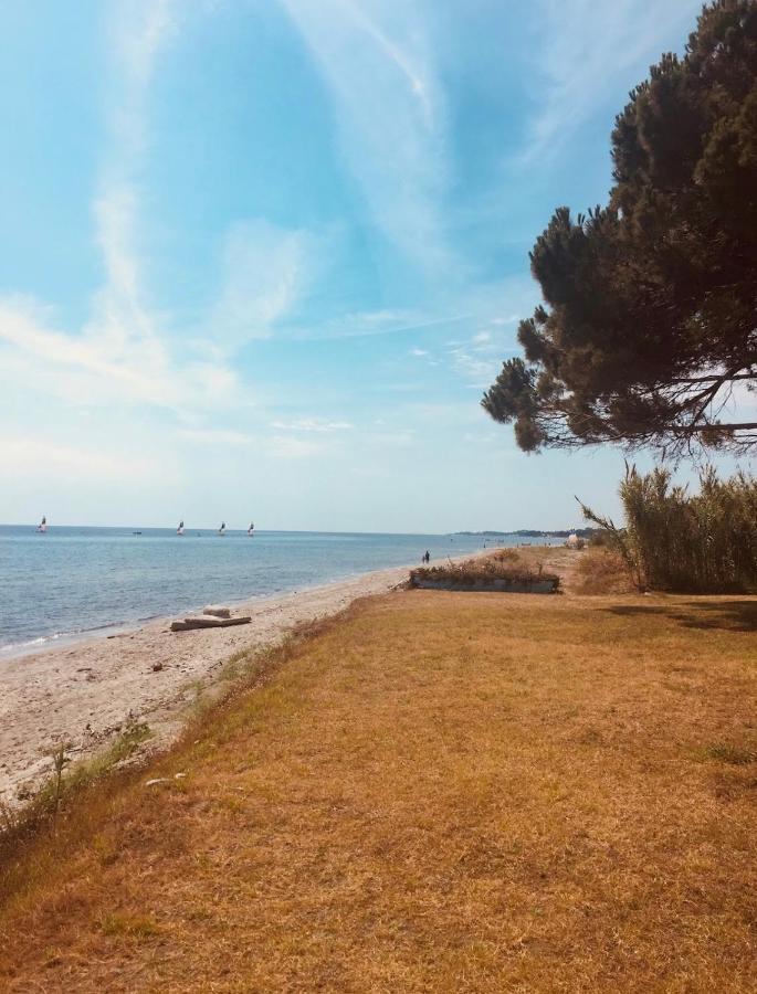 Residence Santa Lucia, Studio Avec Piscine , Vue Mer Et Pied Dans L'Eau , Moriani-Plage Zewnętrze zdjęcie