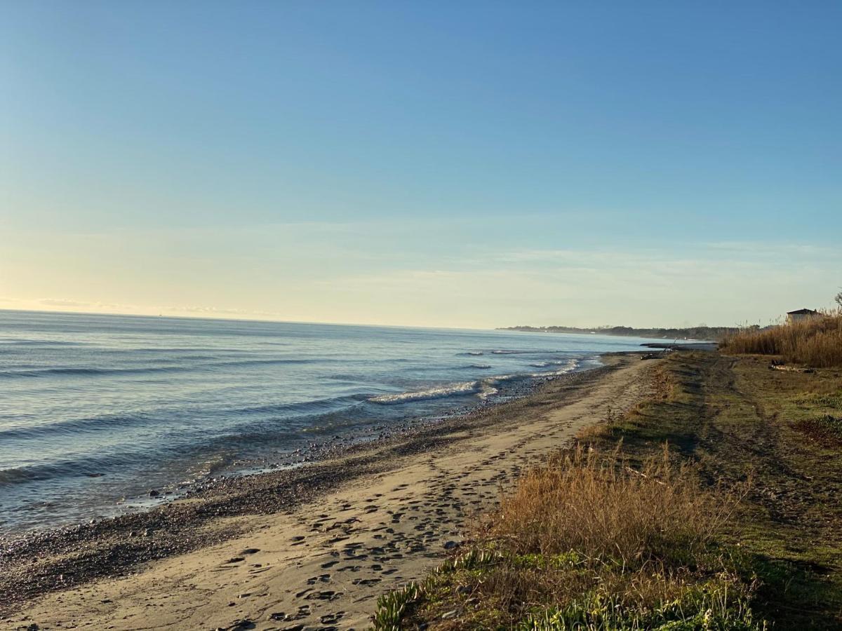 Residence Santa Lucia, Studio Avec Piscine , Vue Mer Et Pied Dans L'Eau , Moriani-Plage Zewnętrze zdjęcie